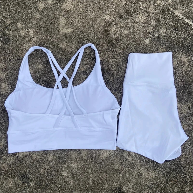 Yoga Clothes Set 2 Piece Gym Sports Shorts Set Women