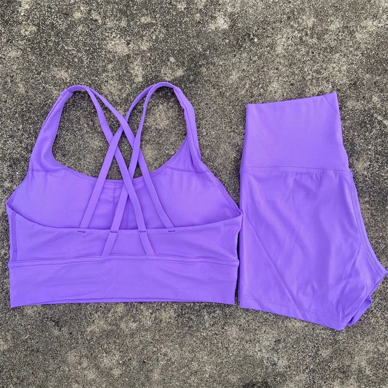 Yoga Clothes Set 2 Piece Gym Sports Shorts Set Women